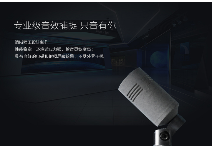 專業(yè)級(jí)音效捕捉，只音有你