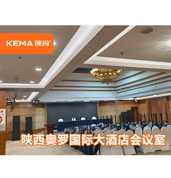 陜西奧羅國際大酒店會議室-秦頌廳領導面部發(fā)黑怎么解決？