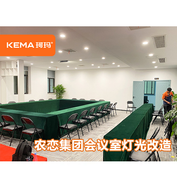 農(nóng)戀集團(tuán)會(huì)議室燈光改造，回字形會(huì)議室用什么燈？